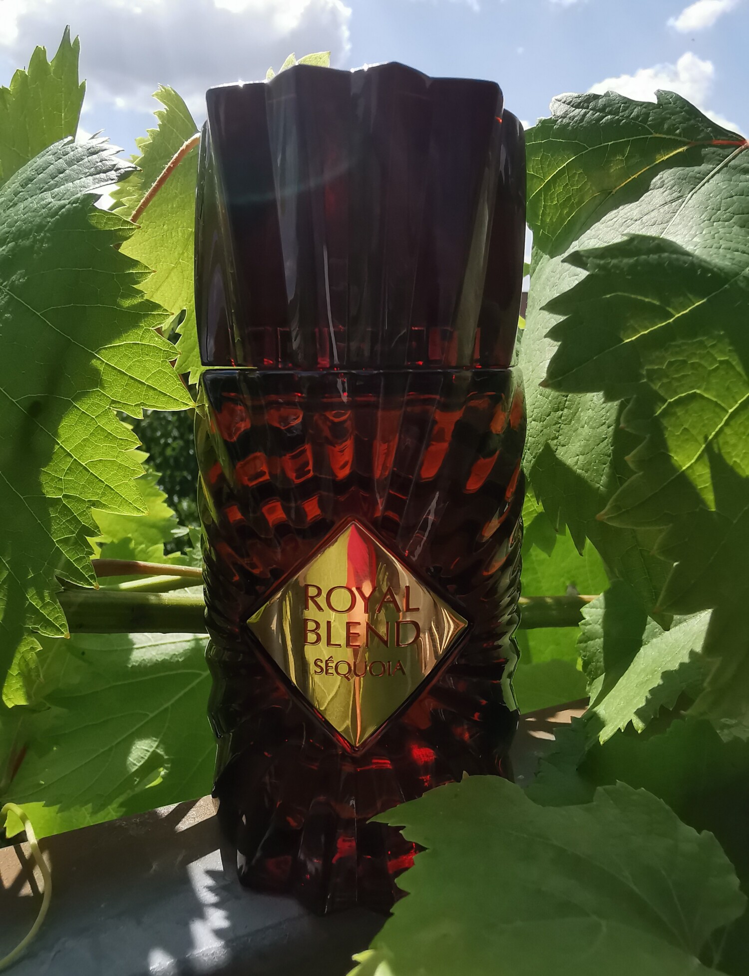 royal blend sequoia french avenue 100ml royal blend sequoia french avenue 100ml
